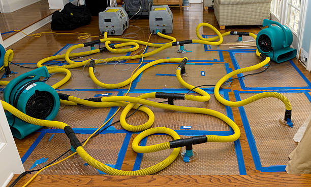 Professional Basement Flood Cleanup technician working in Banco, VA